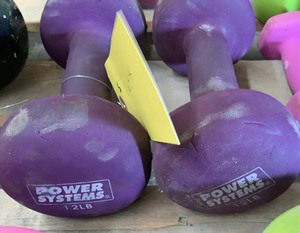 lot 164A image: 12 LB Hand Weights (2)