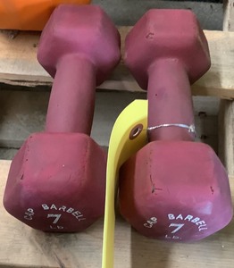 lot 164 image: 7 LB Hand Weights