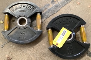 lot 105 image: 25 LB Plate Pair