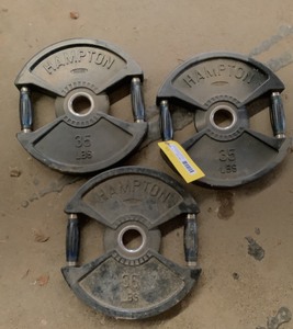 lot 102 image: 35 LB Plate Pair