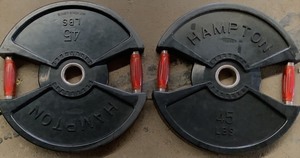lot 101 image: 45 LB Plate Pair