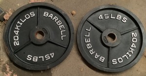 lot 106 image: 45 LB Plate Pair