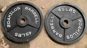 lot 107 image: 45 LB Plate Pair