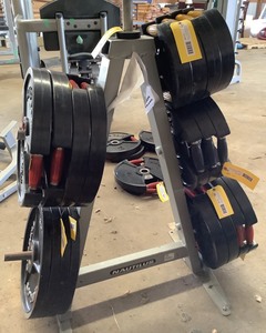 lot 119A image: Free Weight Plate Rack, 2 Sided