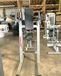 lot 48 image: Life Fitness Leg Raise