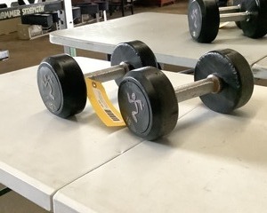 lot 121 image: 15 LB Dumbbell Pair