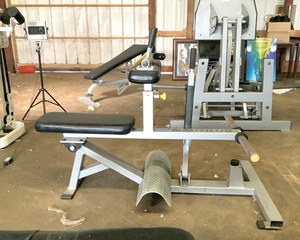 lot 44 image: Nautilus Seated Calf Extension