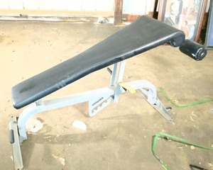 lot 46 image: Nautilus Adjustable Decline Bench