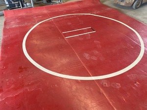 lot 179 image: WrestlingExcercise Mat