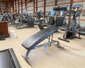 lot 49 image: Nautilus Adjustable Abdominal Bench