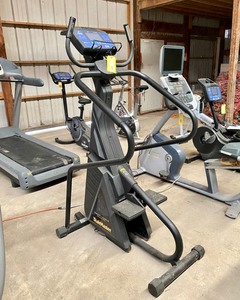 lot 11 image: Stairmaster Free Climber