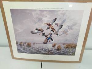 lot 34 image: Mark Anderson Print