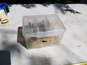 lot 154 image: Lot of Fishing Lures  with Plastic Lure Organizer Tote with Lid