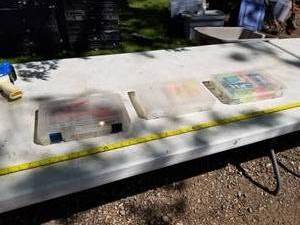 lot 156 image: Lot of (3) Plastic Fishing Tackle Organizer Cases