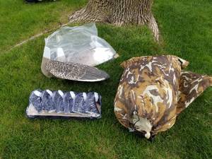 lot 33 image: Lot of (12) Decoys  with Carry Bag