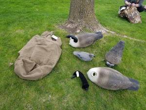 lot 35 image: Lot of (4) Decoys  with Heavy Canvas Bag