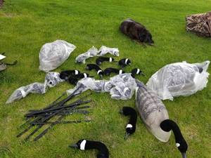 lot 36 image: Lot of (Approximately 3) Decoy Bodies  with Hunters Specialties Backpack Bag and Decoy Heads, Decoy Stands