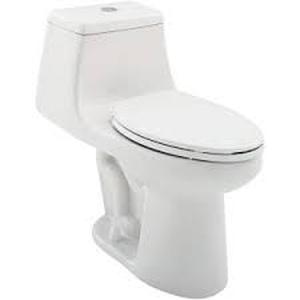 Glacier Bay Erica 12 in. Rough-In 1-piece 1.28 GPF Single Flush Elongated Toilet in White and Seat Included not used see pictures