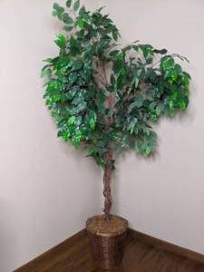 lot 656 image: Artificial Ficus Tree