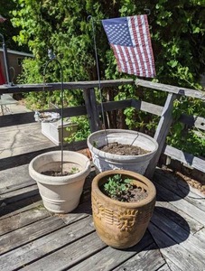 lot 776 image: (5) Outdoor Planter Pots