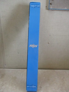 City of Lights Pool Cue and Case