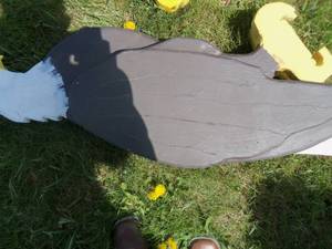 lot 12 image: Black and Brown eagles wooden...