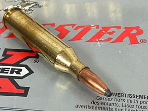 (20) Rounds .243-Winchester