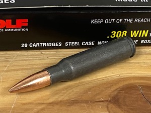 (20) Rounds .308-Winchester
