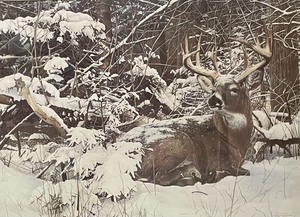 lot 269 image: Bob Travers Numbered Print
