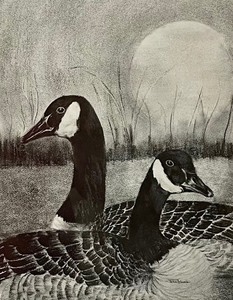 lot 281 image: Portage Bay Honkers Print by Terry Young