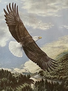 lot 279 image: The Minnesota Headwaters Minnesota Legacy-Vantage Point Print by Ron Van Gilder
