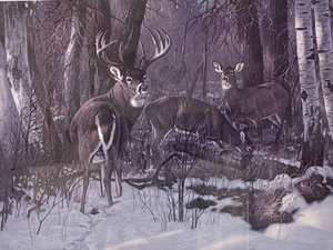 lot 282 image: The Magic Hour Print by Hayden Lambson