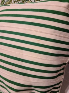 lot 95 image: Green Pottery Barn Accent Pillows