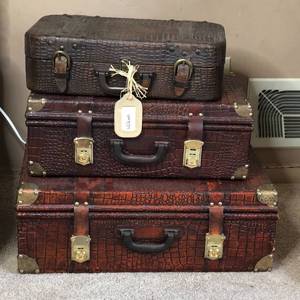lot 17 image: Decorative Crocodile Style Suitcases