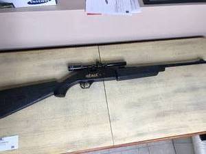 lot 47 image: Daisy 856 Powerline PelletBB Gun