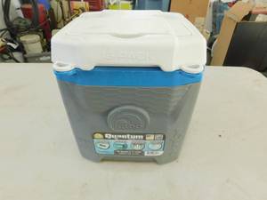 lot 51 image: Igloo Quantum Personal 12Qt Cooler