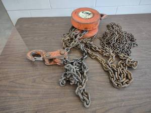 lot 411 image: CM 3 Ton Chain Hoist...