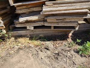 lot 521 image: Assorted Mud Boards...