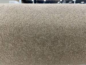 lot 309 image: 12 x 100 Roll (1200 Sq Ft) Shaw Captiva Townhouse Carpet