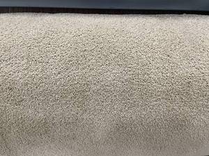 lot 312 image: 12 x 60 Roll (720 Sq Ft) Masland Sandia Fawn Carpet