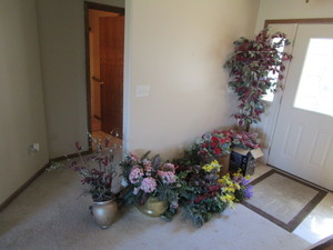 Large Lot of Greenery