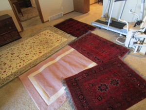 Area Rugs