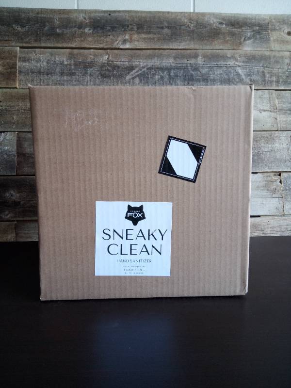Sneaky Clean 1 gallon Jug wpump (Case Pack of 4)