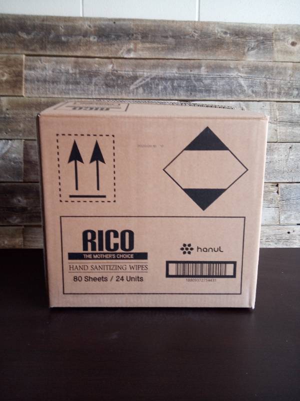 Rico Hand sanitizing wipes (Case pack 24)