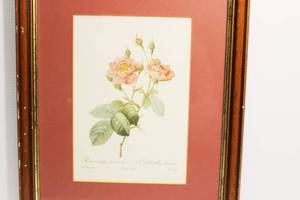 lot 21 image: Rosa Centifolia Anemonoides By Victor Jaulp Framed Art Print
