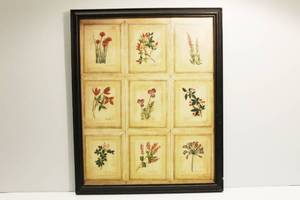lot 33 image: 9 Flowers By Fido Frame Art Print