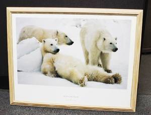 lot 41 image: Hoshino Ice Bears Frame Photo Art Print