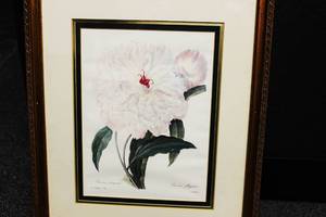 lot 46 image: Pivoine Odorante By P.J. Redoute Frame Art Print