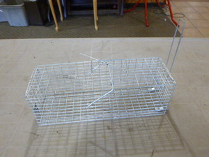 lot 14 image: Live Trap