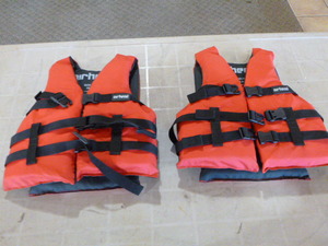 lot 39 image: 2 Airhead Youths Life Vests
